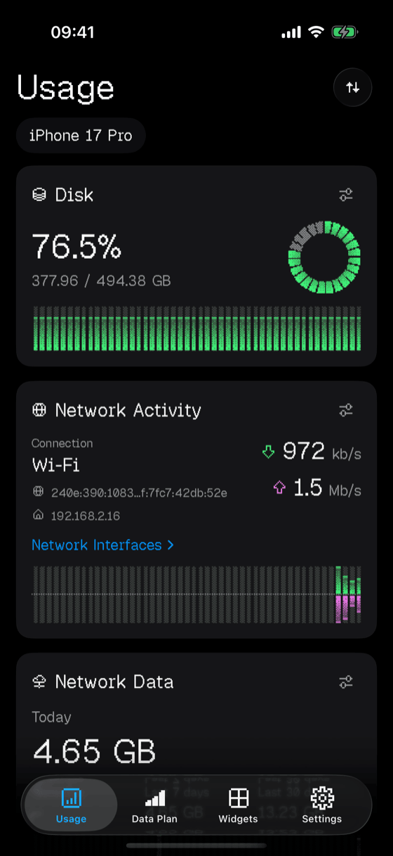 The Usage! dashboard in the Terminal theme, with green and magenta dithered gauges.